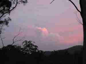 Forestry burn sunset