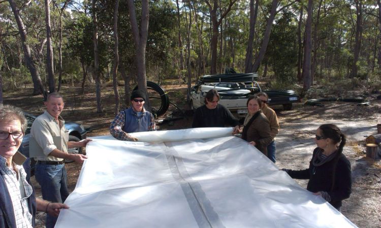 Some of the poly tunnel crew.