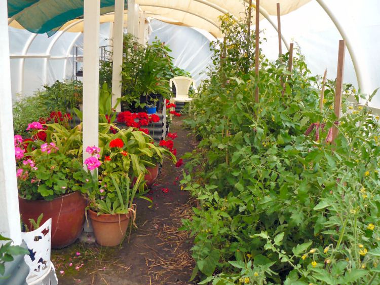The poly tunnel.