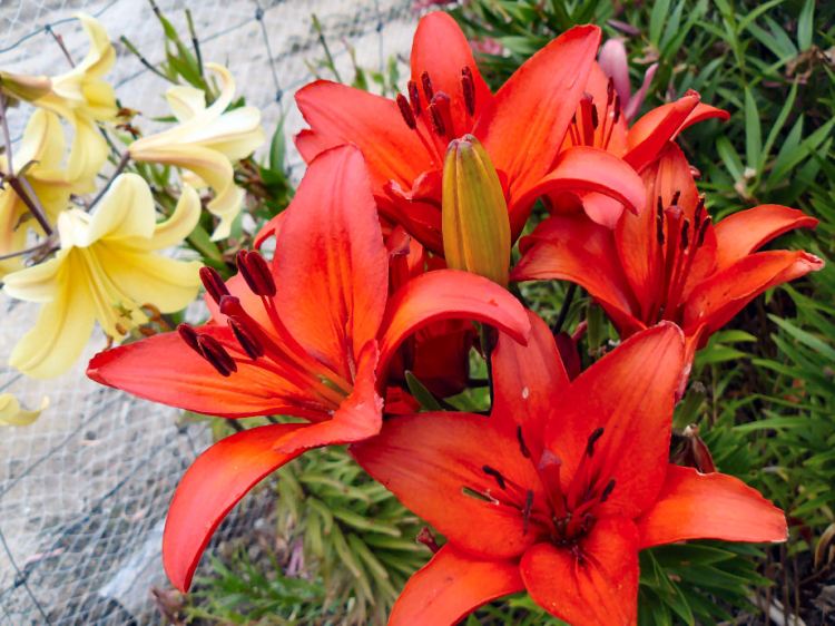 This one has been prolific.