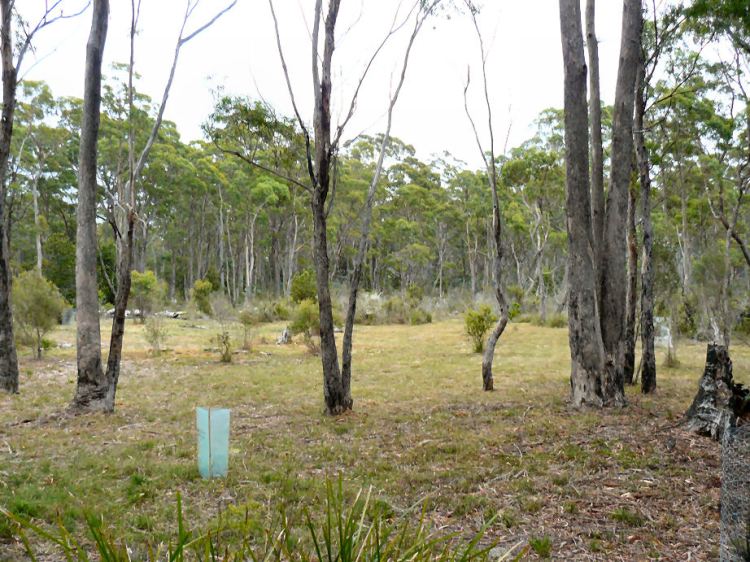 The fire break is almost done.