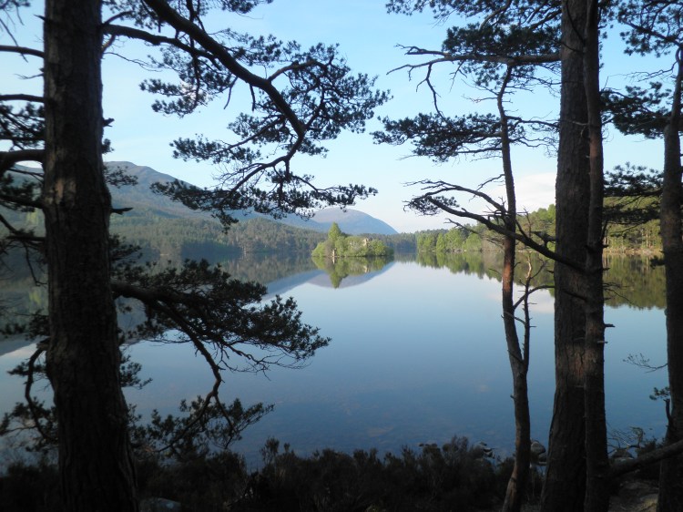 Early morning reflections at Loch an Eilein in the Cairngorms, Scotland.