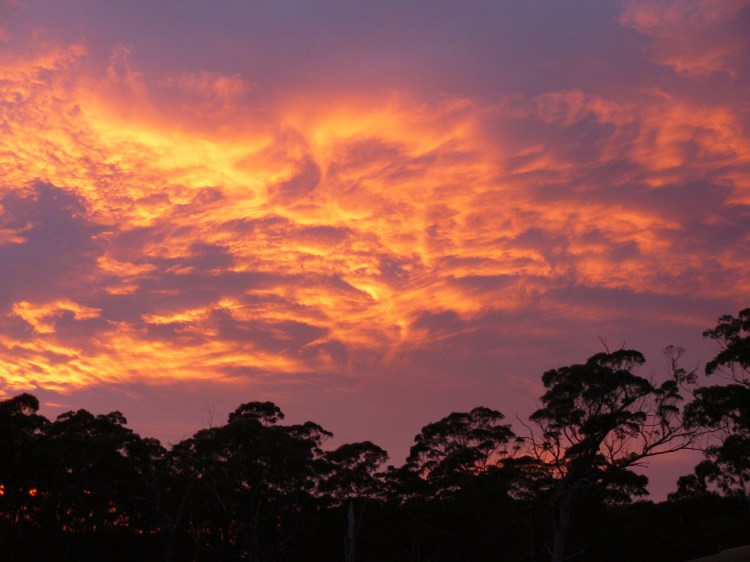 I walked out the back door a few days ago and was confronted by this scene. Nature just keeps turning it on for us and all those who care to notice.