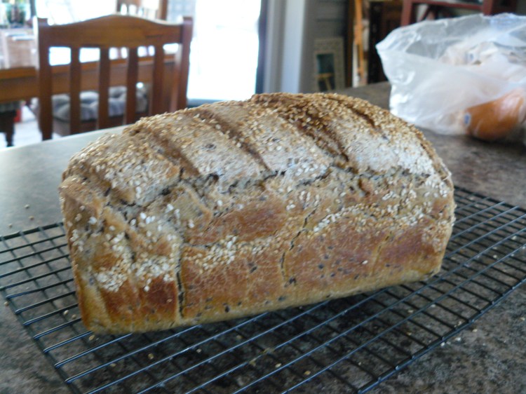 Bryon has been experimenting with new ways of making sourdough and he tests them on me, I don't complain.
